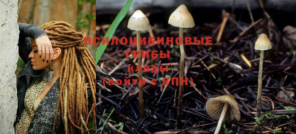 спайс Заводоуковск