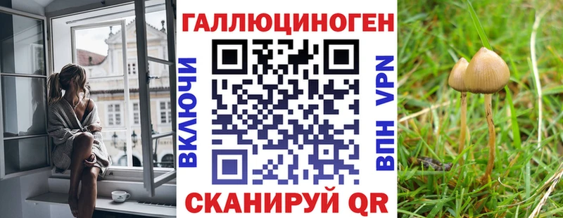 Псилоцибиновые грибы мицелий  Купить закладки  Татарск 